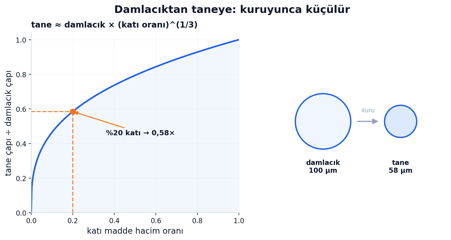Damlacıktan taneye küçülme: küp-kök eğrisi tane çapı bölü damlacık çapı oranını katı madde oranına göre veriyor; %20 katıda çarpan yaklaşık 0,58, yani 100 mikronluk damlacık 58 mikronluk taneye iniyor