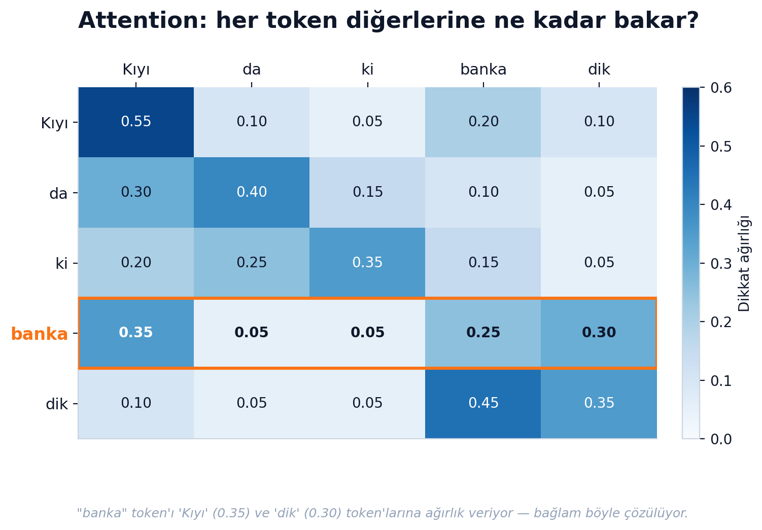 Attention: 'banka' token'ı 'Kıyı' ve 'dik' token'larına ağırlık veriyor