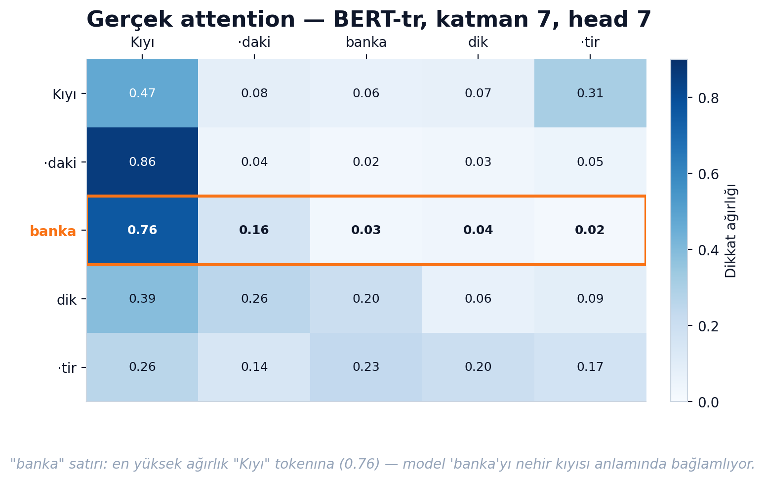 Türkçe BERT modelinden çıkarılan gerçek attention heatmap'i — banka token'ı Kıyı'ya 0.76 ağırlık veriyor