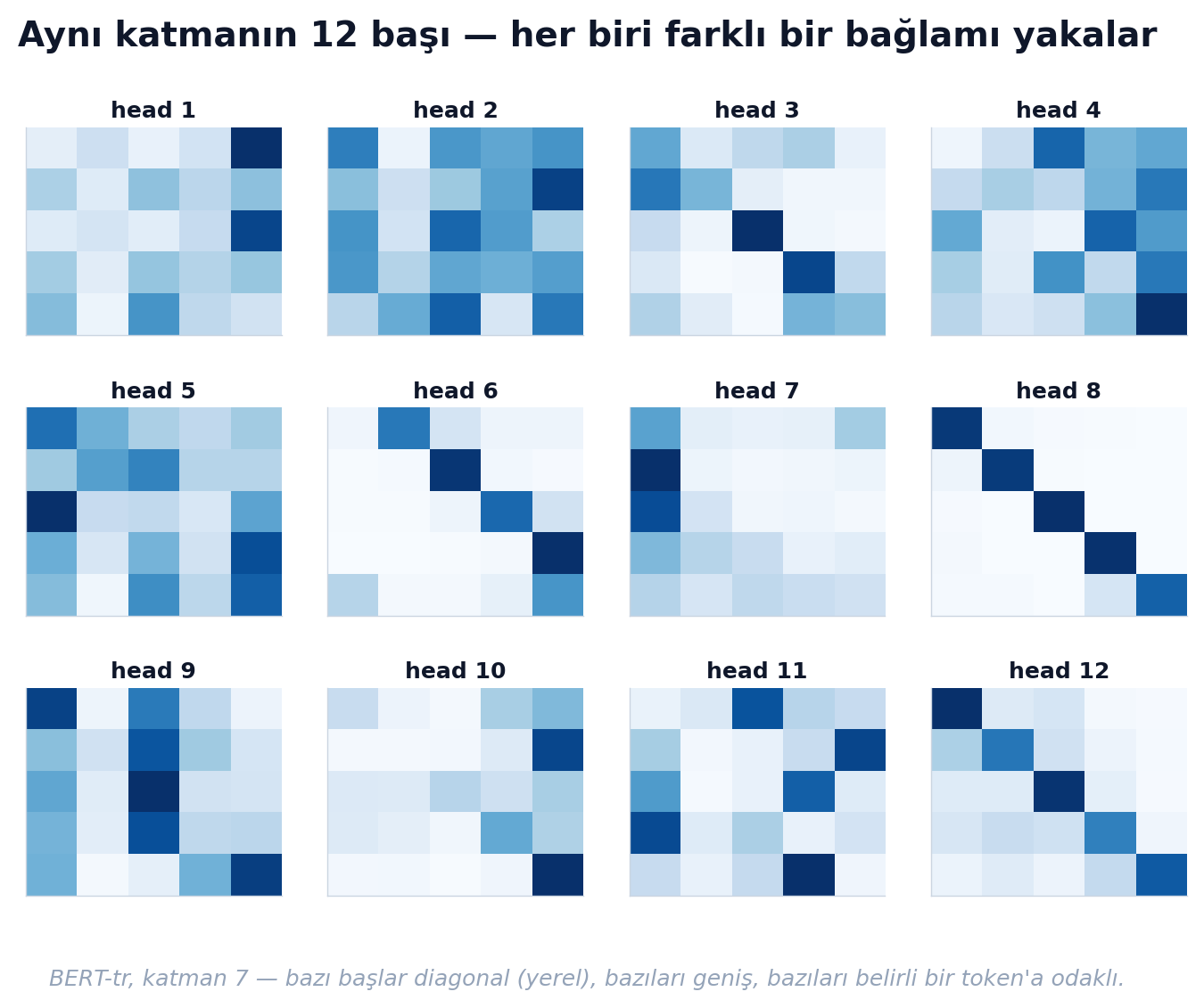 BERT-tr katman 7'nin 12 başının attention matrisleri — her biri farklı bir bağlamı yakalar